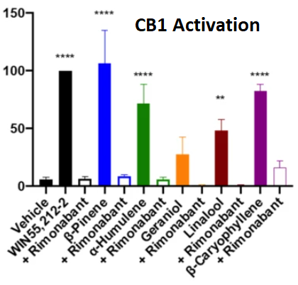 The Newly Discovered Role of Terpenes in CB1 Receptor Activation